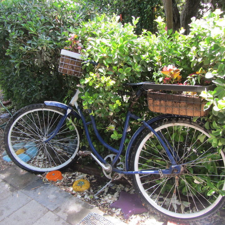 para onde vo as bicicletas velhas quando morrem para o jardim claro
