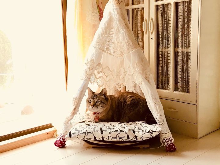 s meet 15 hometalkers from our huge community of diyers across the world, Cute cat DIY alert