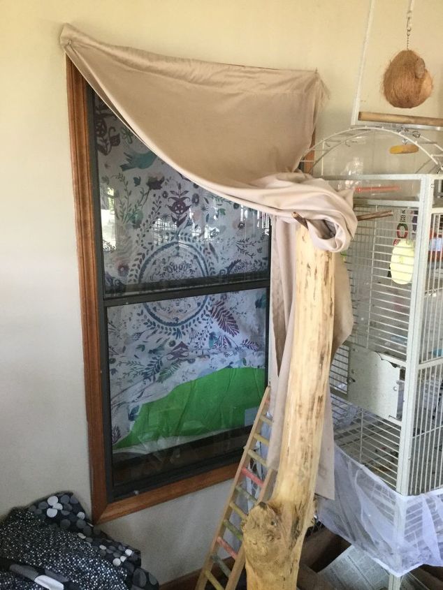 cover a unused window