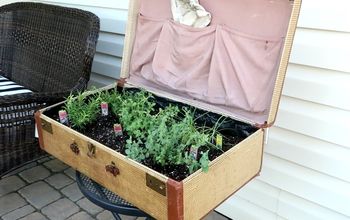 Suitcase Garden