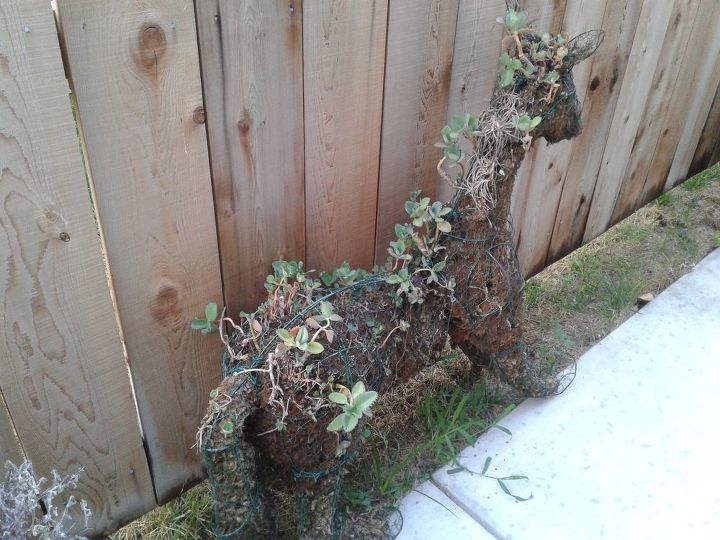 q topiary horse