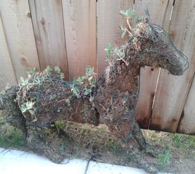 q topiary horse