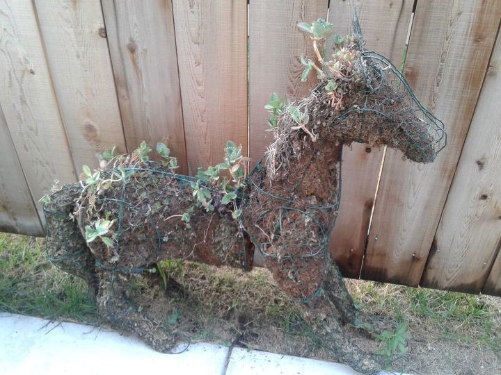 q topiary horse