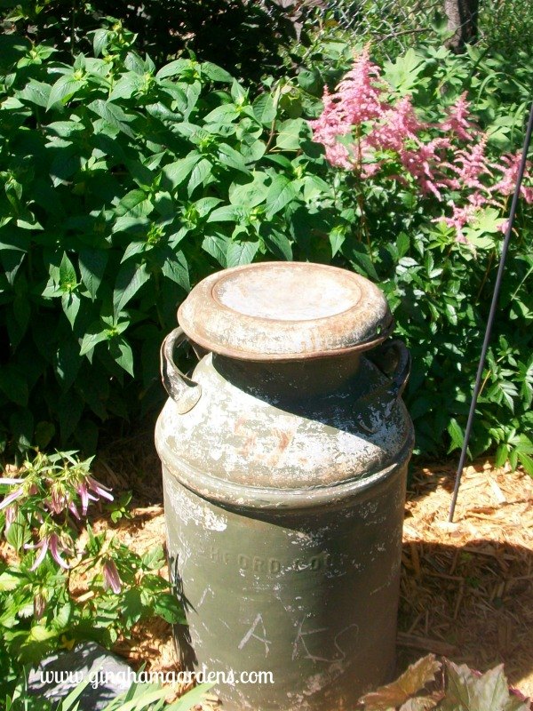 uso de chatarra vintage reciclada para la decoracion del jardin, Lata de leche antigua Antes