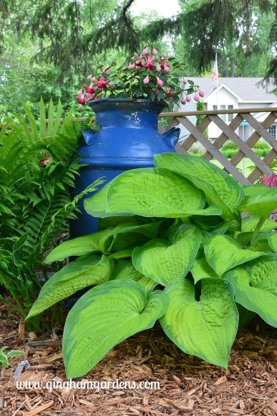 using upcycled vintage junk for garden decor, Vintage Milk Can in a Shade Garden