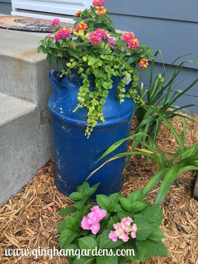 using upcycled vintage junk for garden decor, Vintage Milk Can used as a Planter