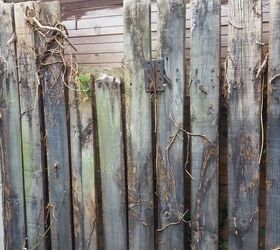 hide ugly fence lattice
