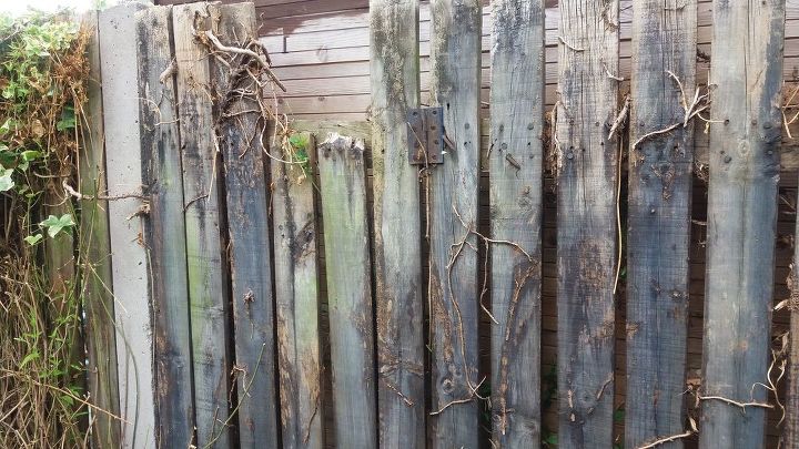 How to hide an ugly fence? | Hometalk