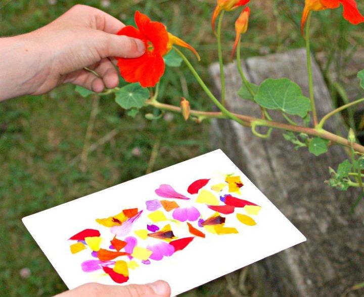how to make sticky nature cards the simplest kids craft ever
