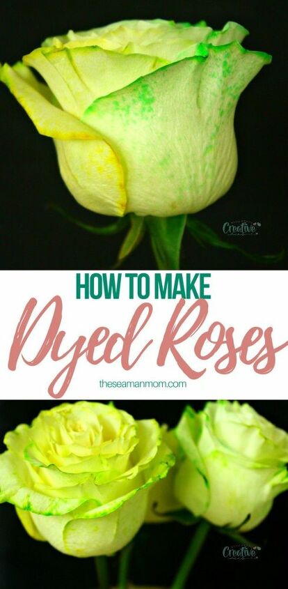 how to dye roses at home