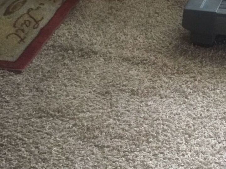 q being disabled i need to pull up dog haired filled carpet allergic to