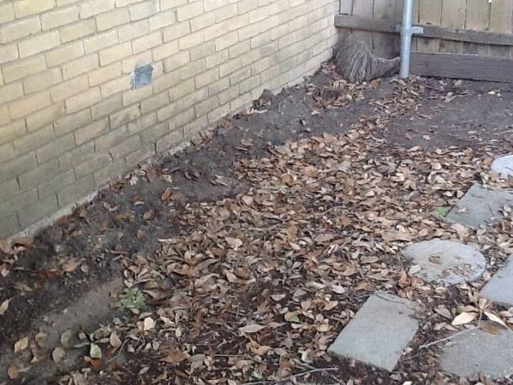 q help with planting along foundation of house that