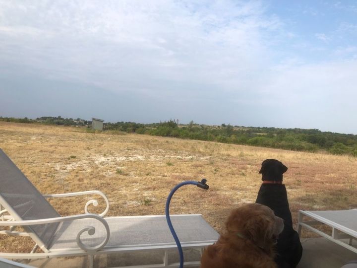 q how do i make my backyard look like the best place to be in the texas