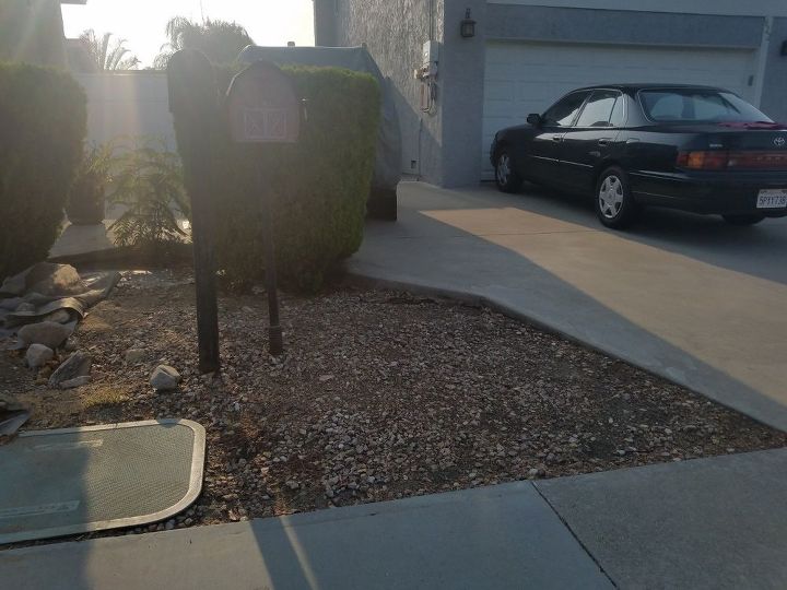 q how do i make my mailbox area pretty
