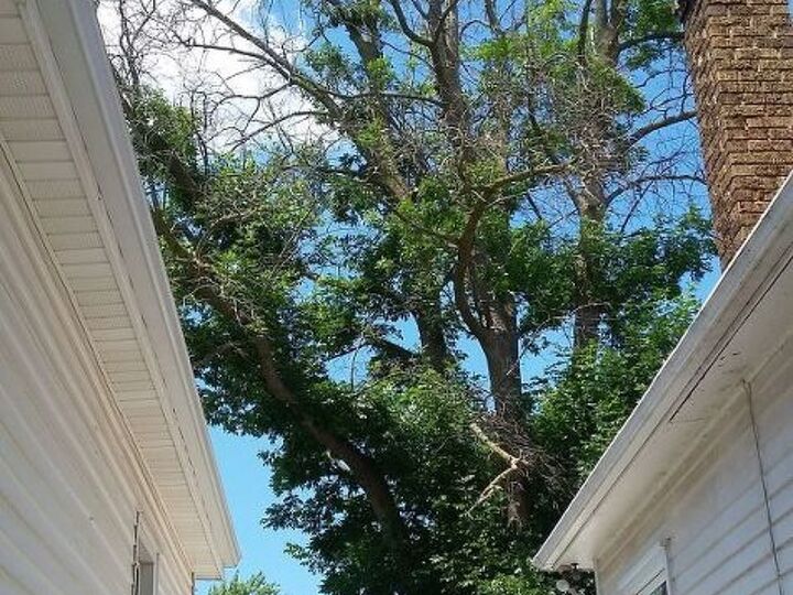 q how do i fix my backyard after a 200 yr costing 9400 was removed
