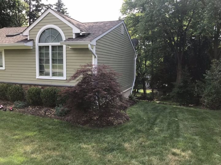 q help needed on what to put on this side of the house