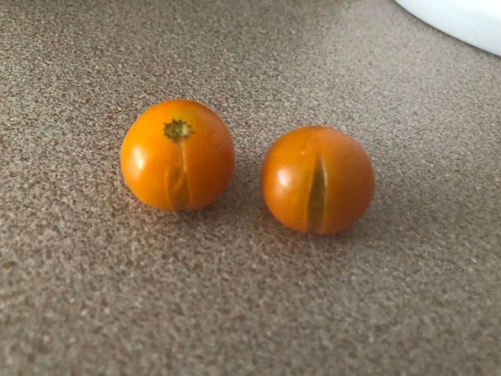 q orange tomotoes cracking
