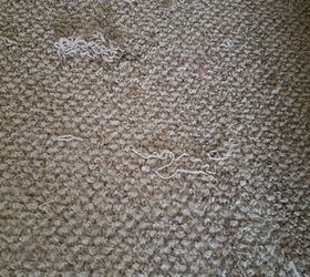 How To Fix Torn Carpet From Dog