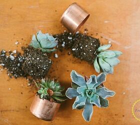 copper pipe caps turned mini succulent planters and votives