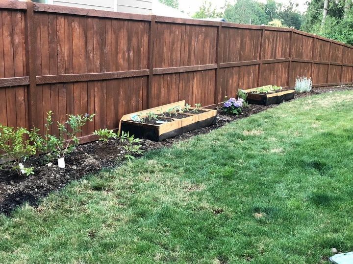 cultivando con un toque, Una nueva vista del patio lateral