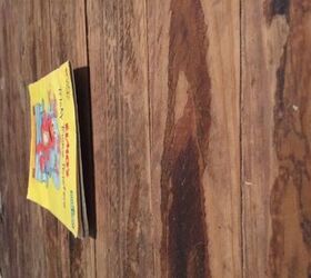 wood floor bowing up  | 576 x 312