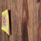 wood floor bowing up | 576 x 312 wood floor bowing up | 576 x 312