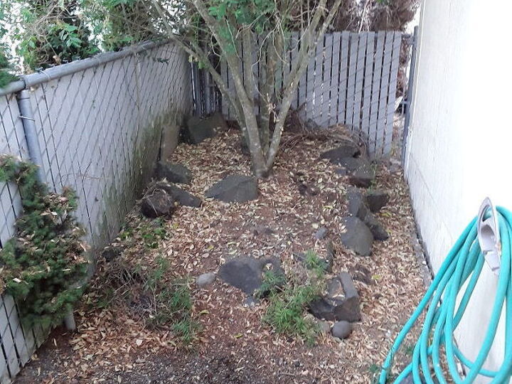 q backyard is 6 x 35 how can we make it look stunning