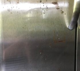 https://cdn-fastly.hometalk.com/media/2018/08/05/5006572/stainless-steel-refrigerator-is-rusting.jpg?size=720x845&nocrop=1
