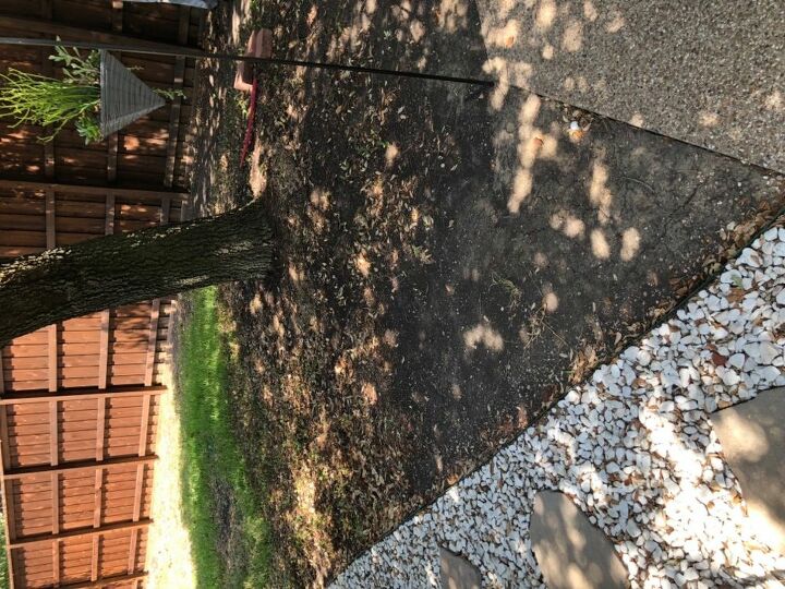 q how do we cover this area around the tree