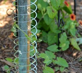 slinky garden hack and trellis for climbing vine