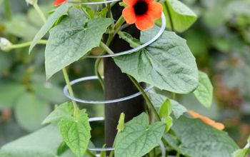 Slinky Garden Hack and Trellis for Climbing Vine