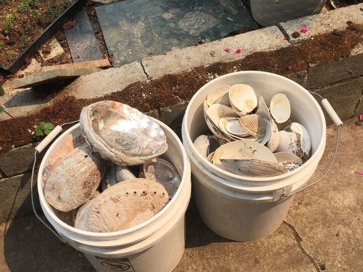 q how do i use these clam and abalone shells in my yard