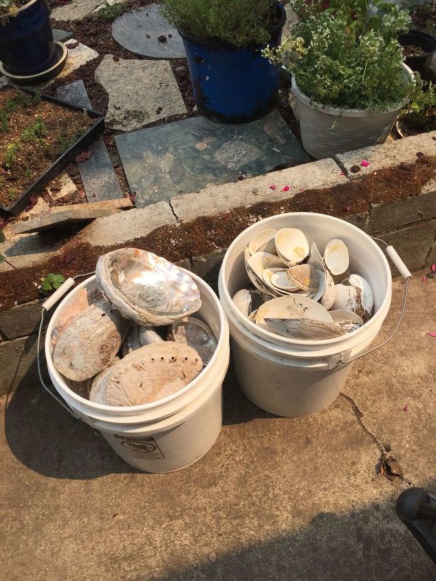 q how do i use these clam and abalone shells in my yard