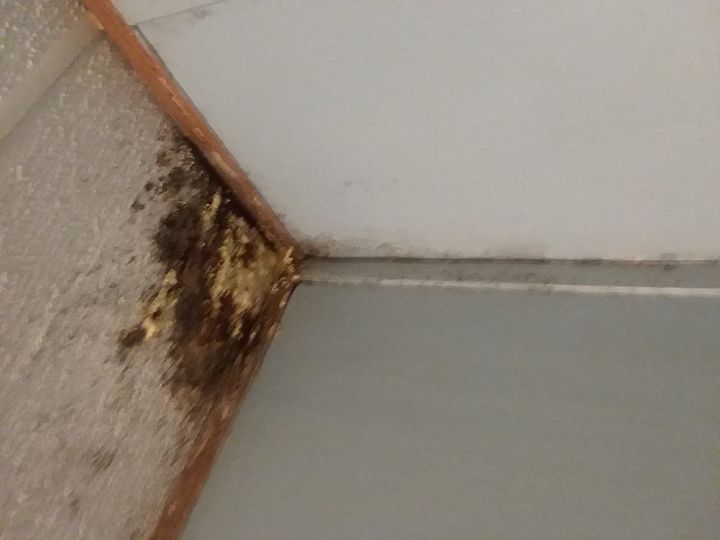 q how do i get rid of mold on ceiling