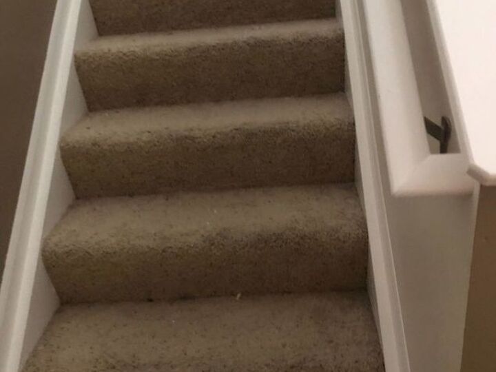 q what can i do in my steps