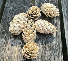 how to easily bleach pine cones at home
