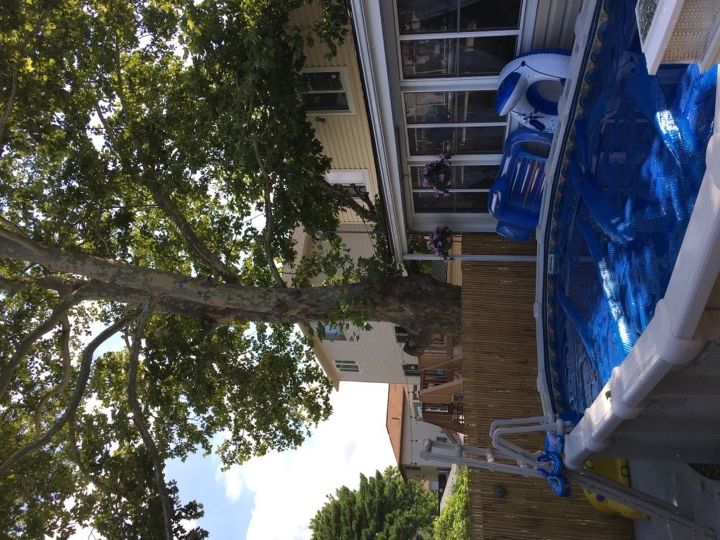 q how do i lessen the leaves and bird poop this is a real problem