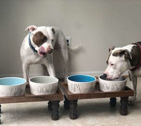 diy dog bowl stands