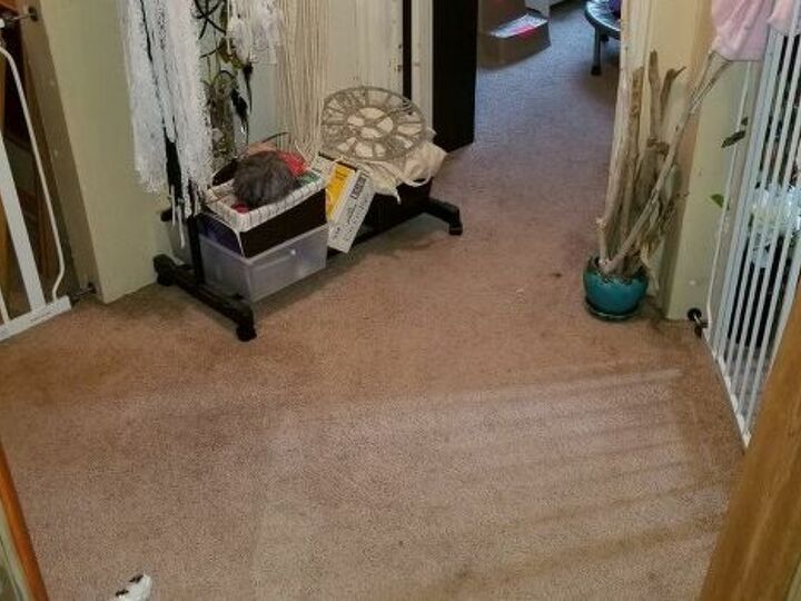 q partially change flooring in part of hallway