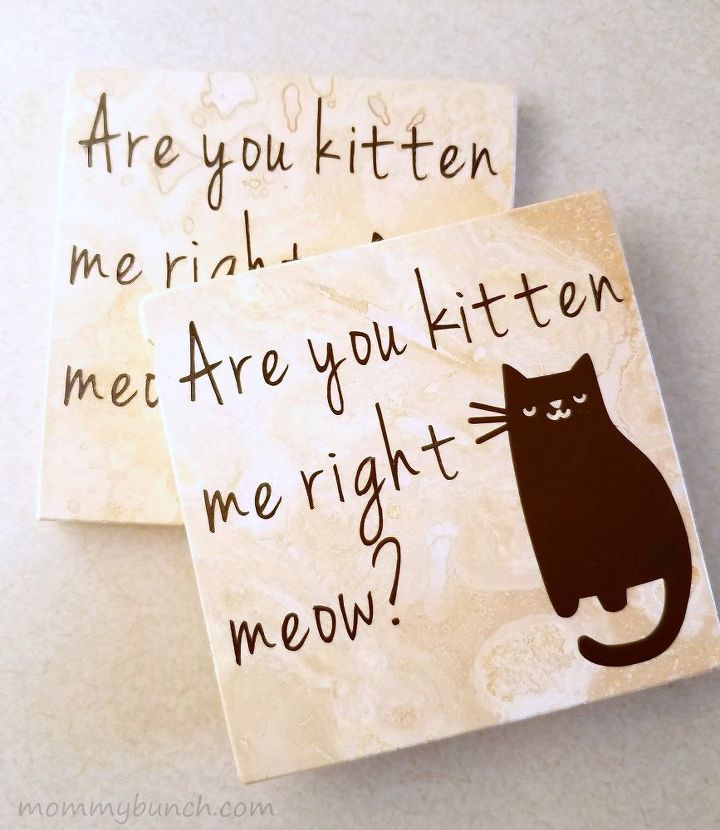 are you kitten me right meow