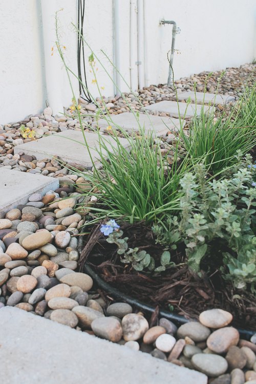 adding a path and butterfly garden to your side yard