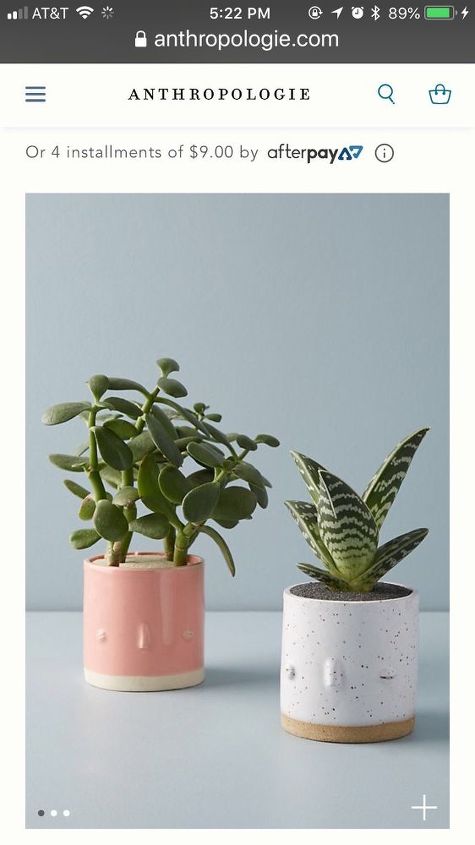 faux anthropologie tiny pots more