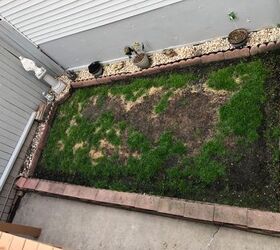 Small Backyard Makeover Ideas - Home Design Ideas