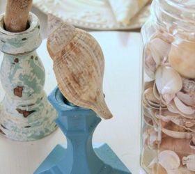 how to display a seashell