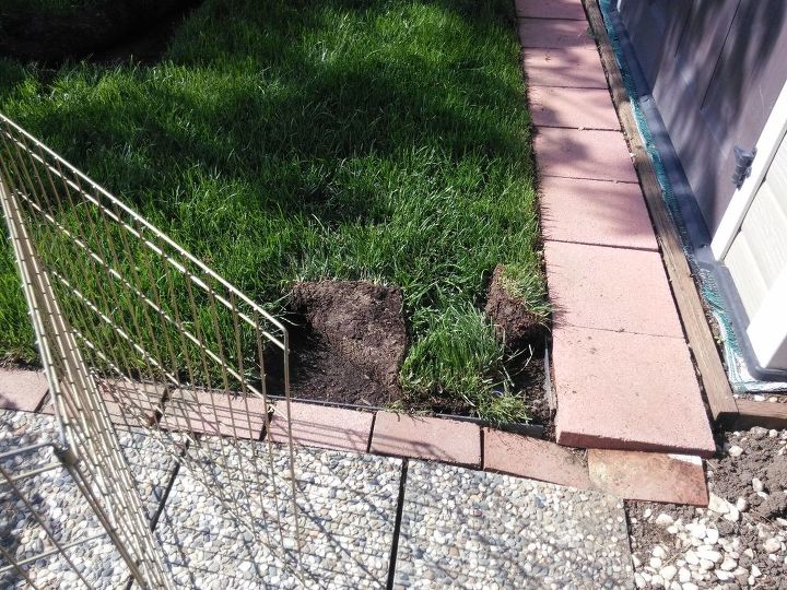 q how do you keep raccoons possums out