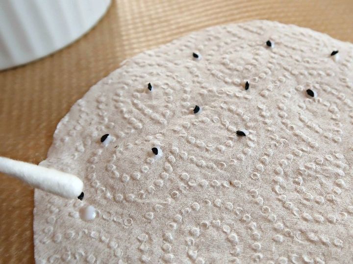 how to make super easy plantable seed paper