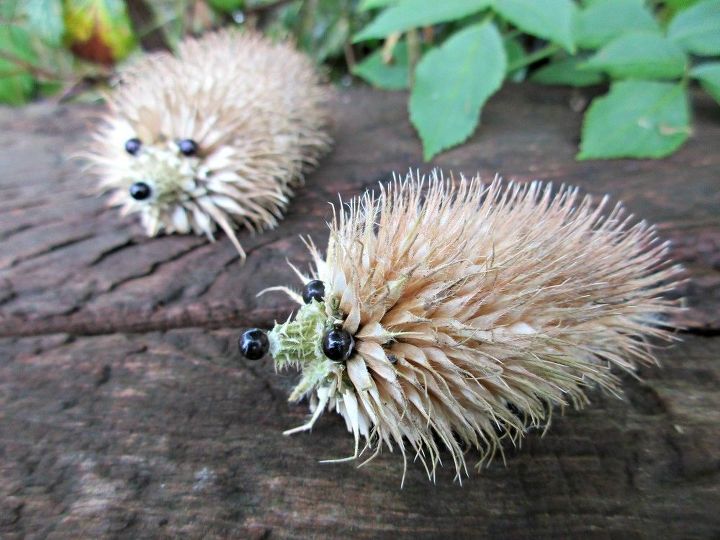 how to make an adorable teasel hedgehog