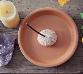 sea urchin incense holder