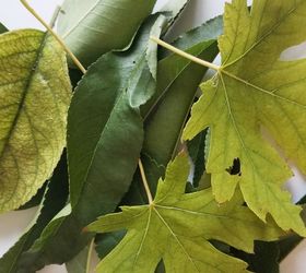 4 fun ways to use laminated leaves