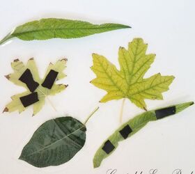 4 fun ways to use laminated leaves